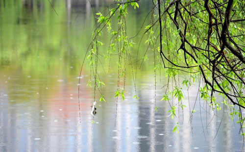 雨中的坚固守护 —— 阜城钢结构工程的产品在雨季的应用实践